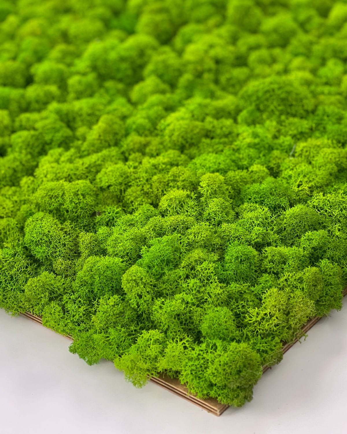 Blíže k panelu vyrobenému ze světle zeleného sobvého škrábance